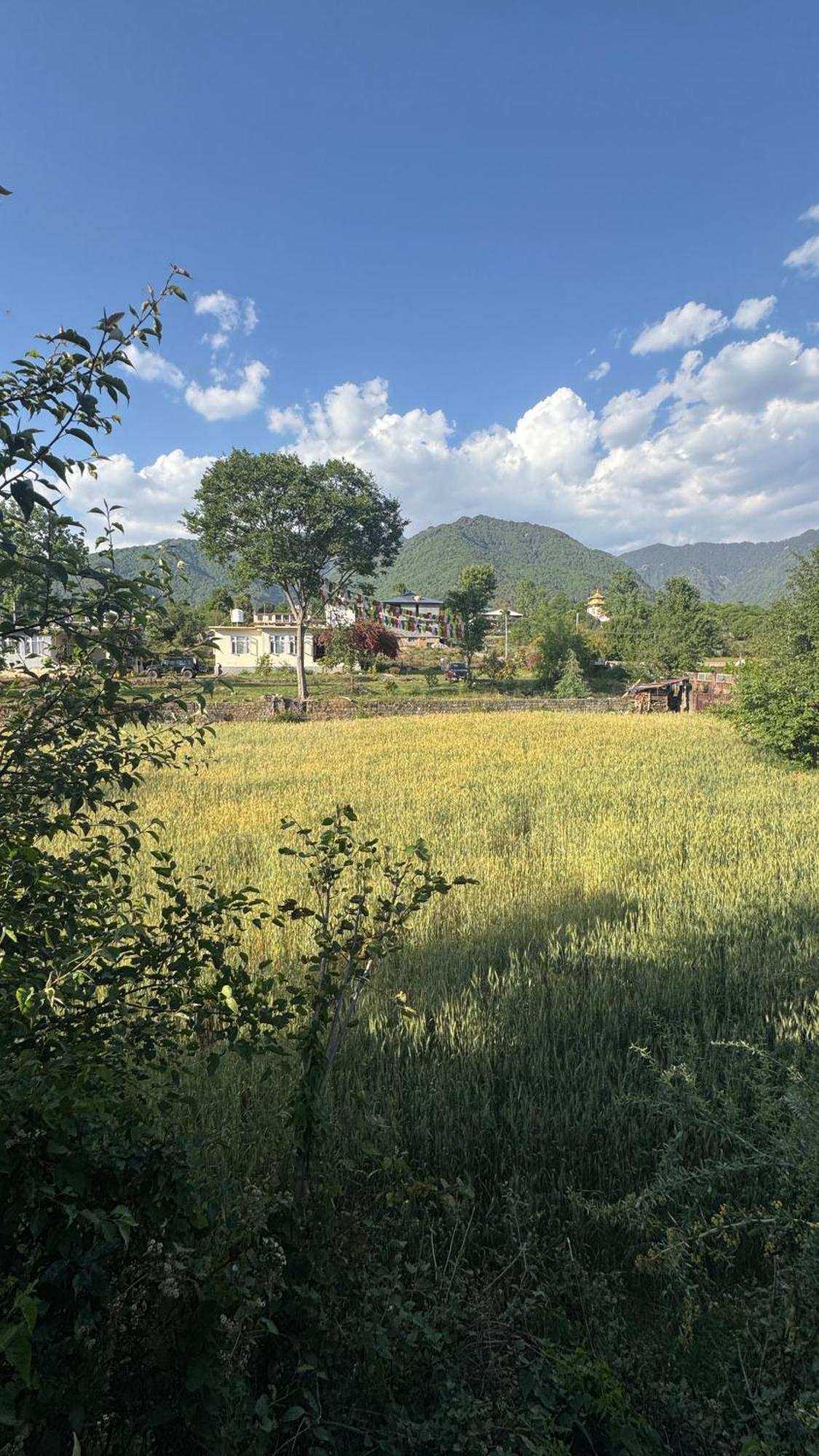 Namlang Resort Bīr 外观 照片